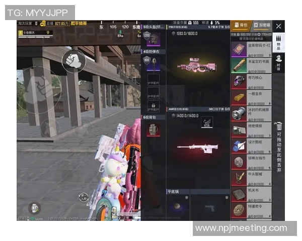 与陈丽畅谈和平精英生涯中的挑战与成长之路